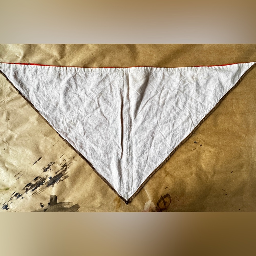 Vtg Tourist Bandana View 4
